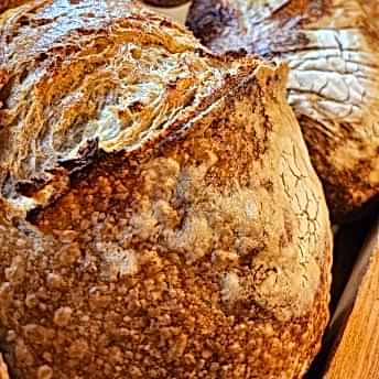 Tam Buğday Tam Buğday